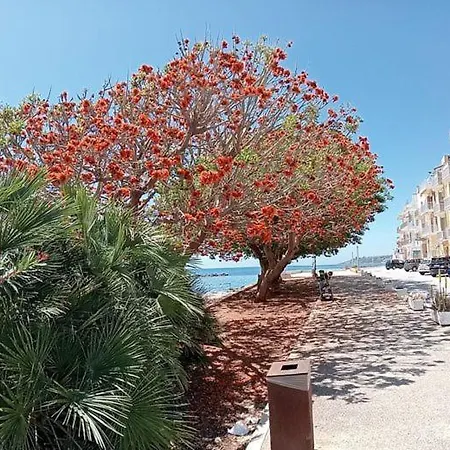 Borgo Dello Stazzone מלון